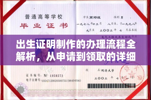 沂水出生证明制作的办理流程全解析，从申请到领取的详细指南